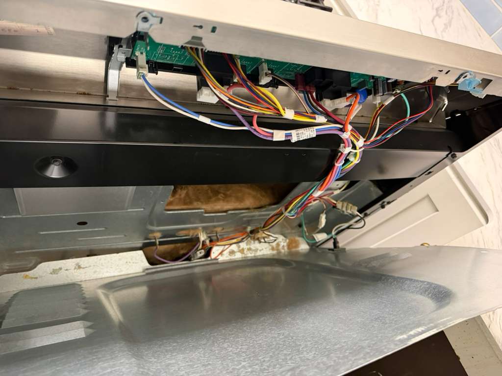 whatsapp image 2026 02 17 at 2.30.52 pm (2)