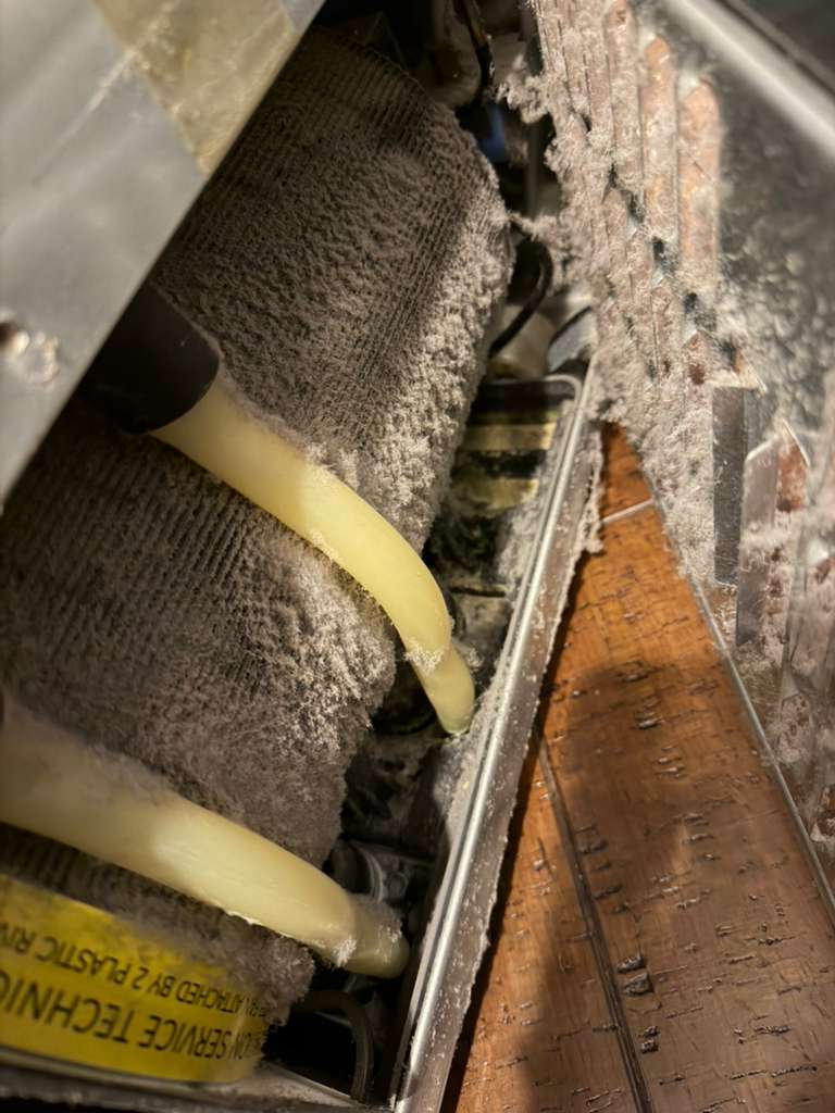 whatsapp image 2026 02 17 at 2.30.54 pm (3)