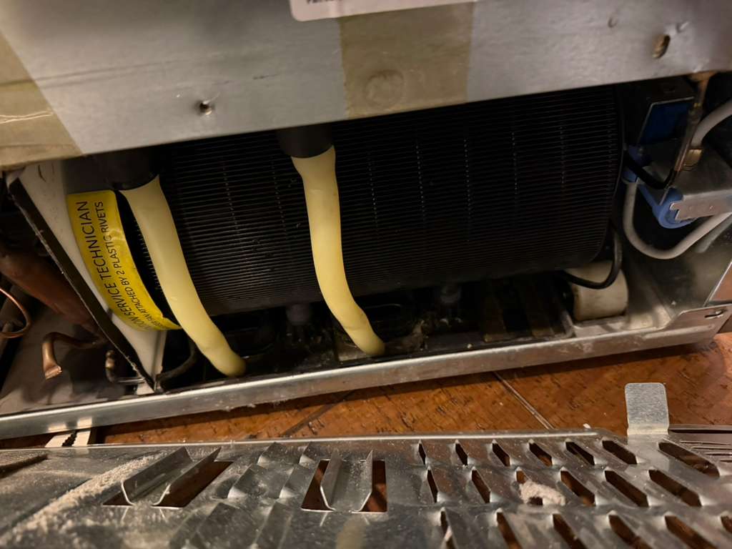 whatsapp image 2026 02 17 at 2.30.55 pm