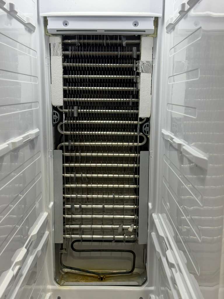 whatsapp image 2026 02 17 at 2.30.57 pm (2)