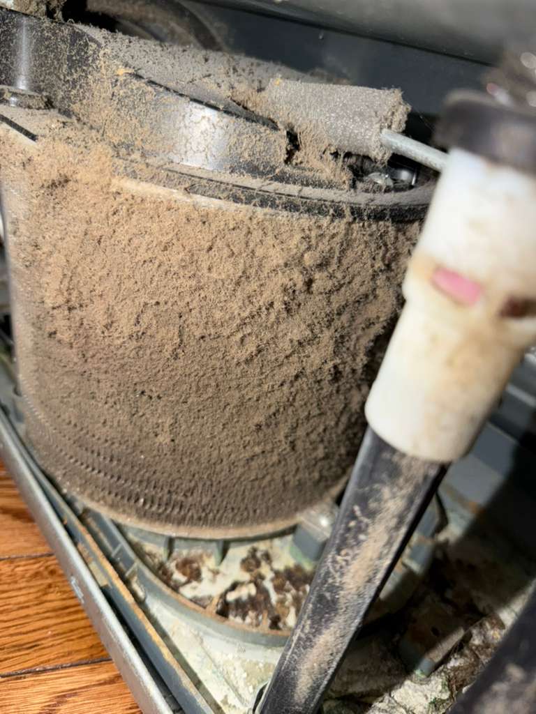 whatsapp image 2026 02 17 at 2.30.58 pm (1)