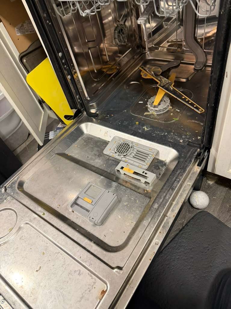 whatsapp image 2026 02 17 at 2.30.58 pm