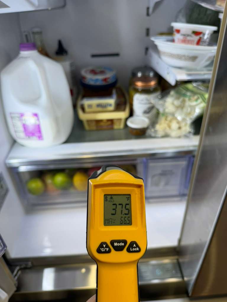 whatsapp image 2026 02 17 at 2.30.59 pm